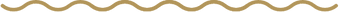 Group 4995_2x.png